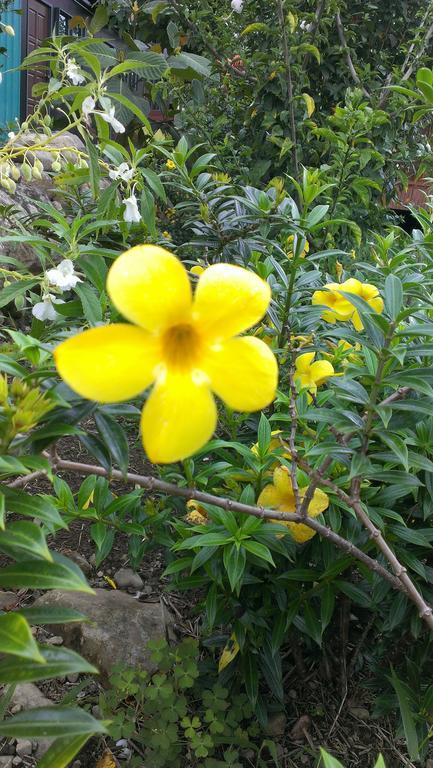 Kinabalu Poring Vacation Lodge Kampung Poring ภายนอก รูปภาพ